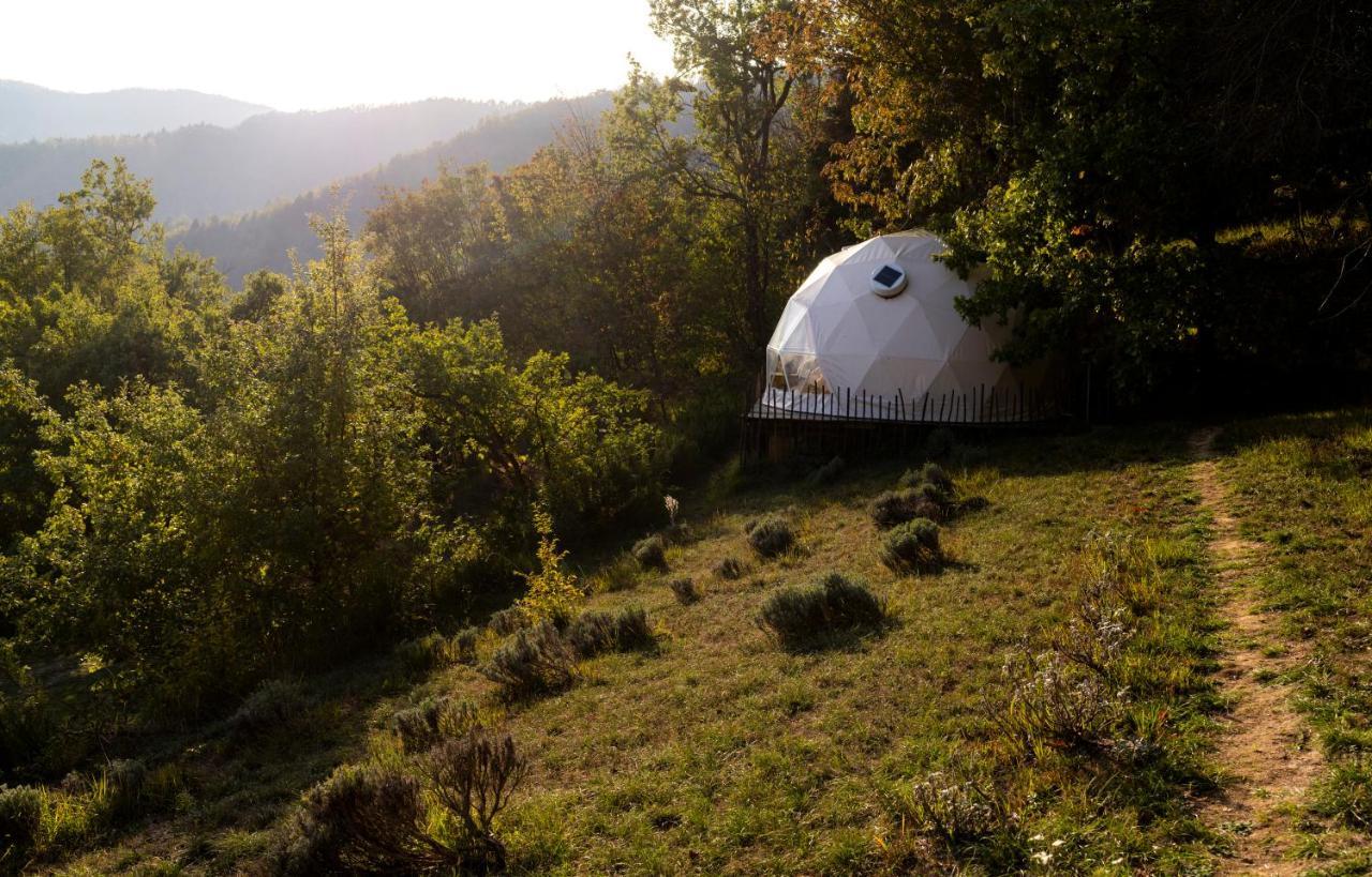 Luxe tent Gaia's Spheres